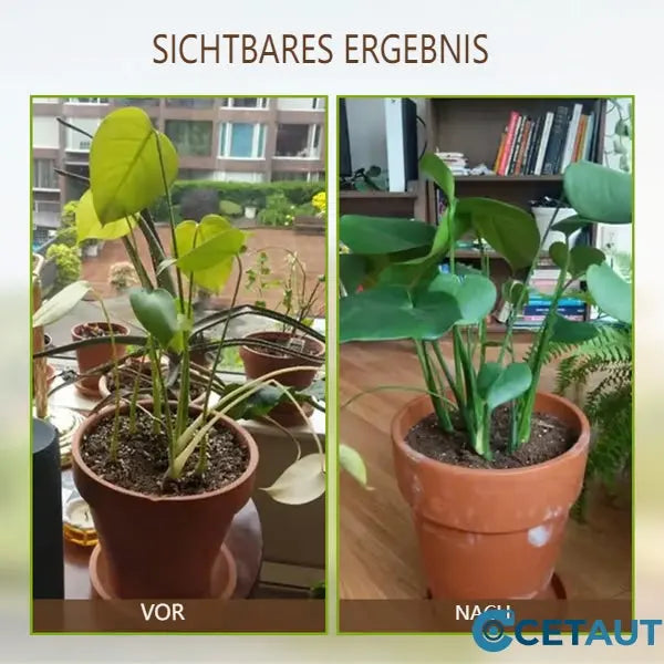 🌱 Blühende Erde, mühelos natürlich – mit ECOCERT -Power🔔 Verbessern Sie Ihren Boden JETZT 🌱Bodenverbesserung