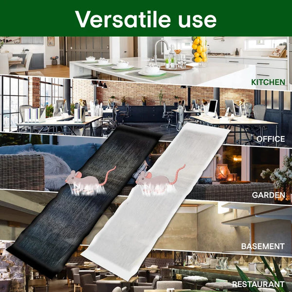 Professionelle Klebefalle für Mäuse & Ratten - Extra Groß & Stark