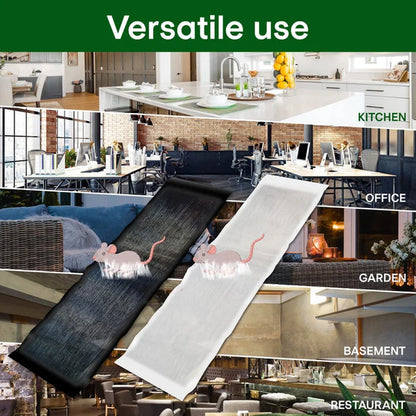 Professionelle Klebefalle für Mäuse & Ratten - Extra Groß & Stark
