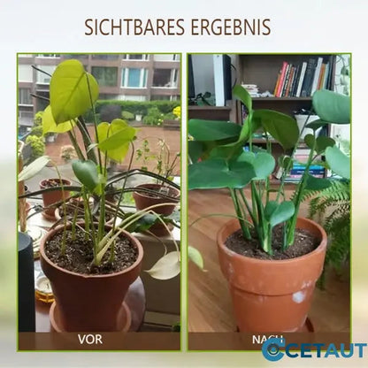 🌱 Blühende Erde, mühelos natürlich – mit ECOCERT -Power🔔 Verbessern Sie Ihren Boden JETZT 🌱Bodenverbesserung