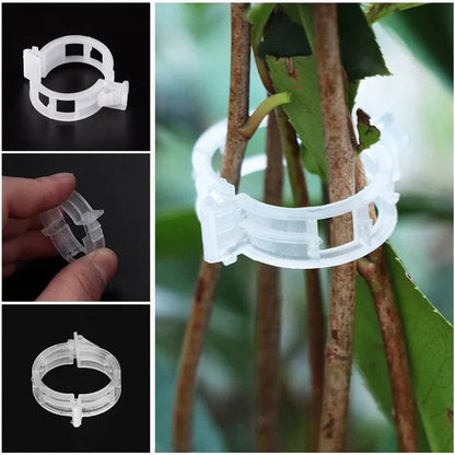 Pflanzenclips für Rankpflanzen – Tomatenhalter & Pflanzenbinder aus Kunststoff🌱🍅