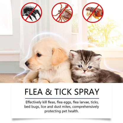 💥 MEGA DEAL: KAUF 2, ERHALTE 1 GRATIS 🎁 Natürlicher Lopp- & Fästingspray 🐶🐱 schützt effektiv & schonend 🌿