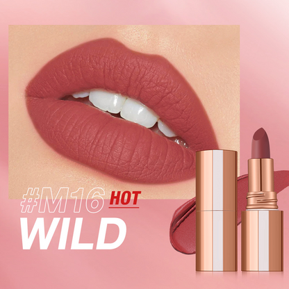 24 Stunden lang haltbarer matter Lippenstift☕💋Kussfest, wischfest & langanhaltende intensive Farbe
