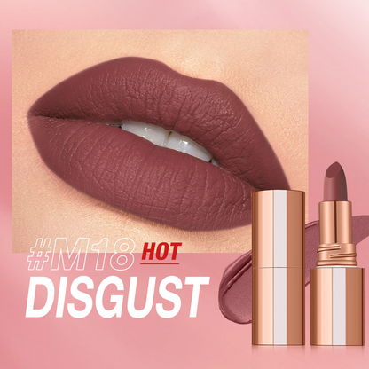 24 Stunden lang haltbarer matter Lippenstift☕💋Kussfest, wischfest & langanhaltende intensive Farbe