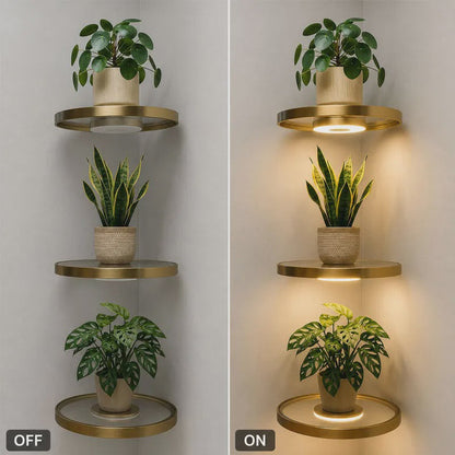 🏠 JETZT 50 % RABATT! 💡 Schwebendes Wandregal mit integrierter LED-Stimmungsbeleuchtung – Moderne Pflanzenpräsentation – Perfekt für Indoor-Gärten und Wohnungen ✨