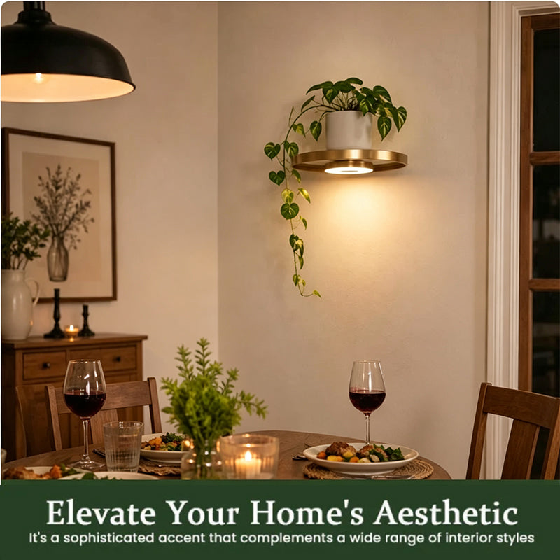 🏠 JETZT 50 % RABATT! 💡 Schwebendes Wandregal mit integrierter LED-Stimmungsbeleuchtung – Moderne Pflanzenpräsentation – Perfekt für Indoor-Gärten und Wohnungen ✨