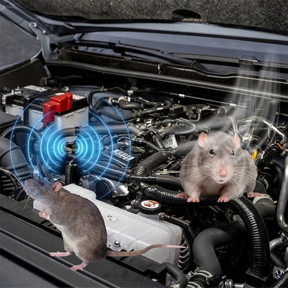 🐭🚫 50% RABATT! Universal-Nagetierabwehrspray – Pflanzlich, geruchsneutral & langanhaltend – Vertreibt Mäuse, Ratten & Co. – Perfekt für Keller, Garage, Garten & Auto ✨