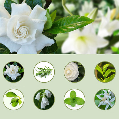 🎶Automatischer Aromatherapie-Diffusor 🌿✨ | Ultraschall-Zerstäubung · Zeitgesteuertes Sprühen · Smart Display · Wand- & Tischmontage