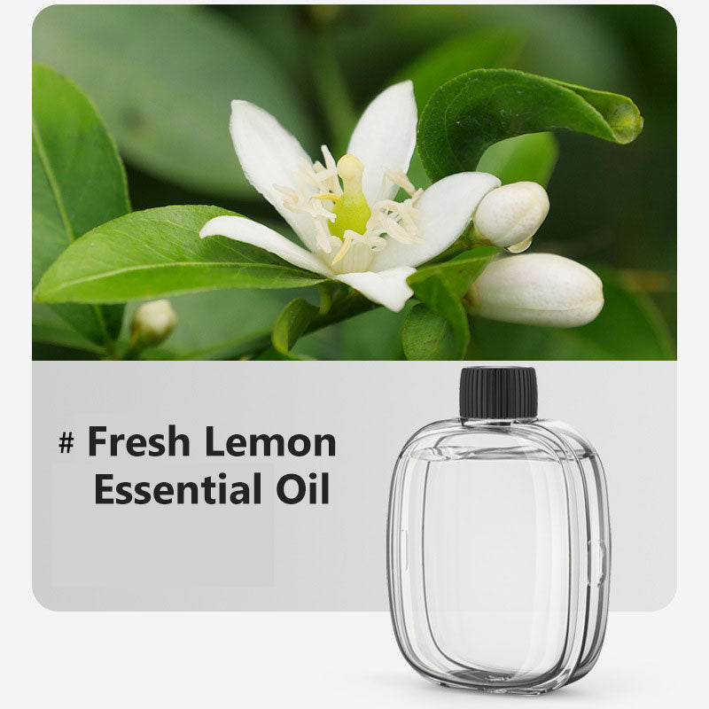 🎶Automatischer Aromatherapie-Diffusor 🌿✨ | Ultraschall-Zerstäubung · Zeitgesteuertes Sprühen · Smart Display · Wand- & Tischmontage