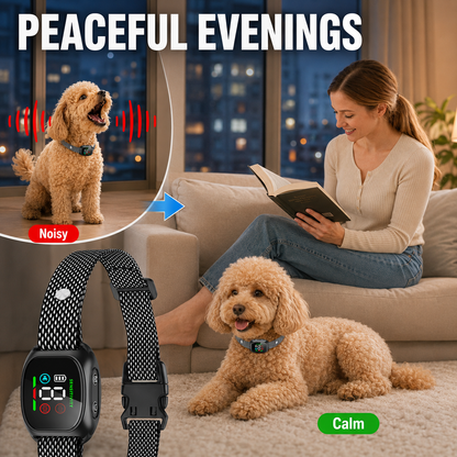 Intelligentes Anti-Bell-Halsband für Hunde